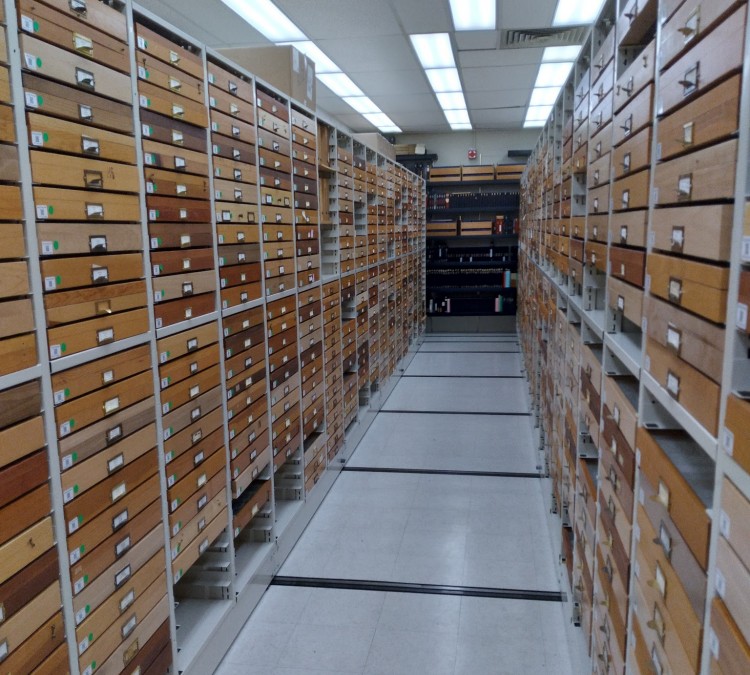 Essig Museum of Entomology Research (Berkeley,&nbspCA)